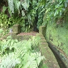 Plants: image 104 Of 110 Thumb